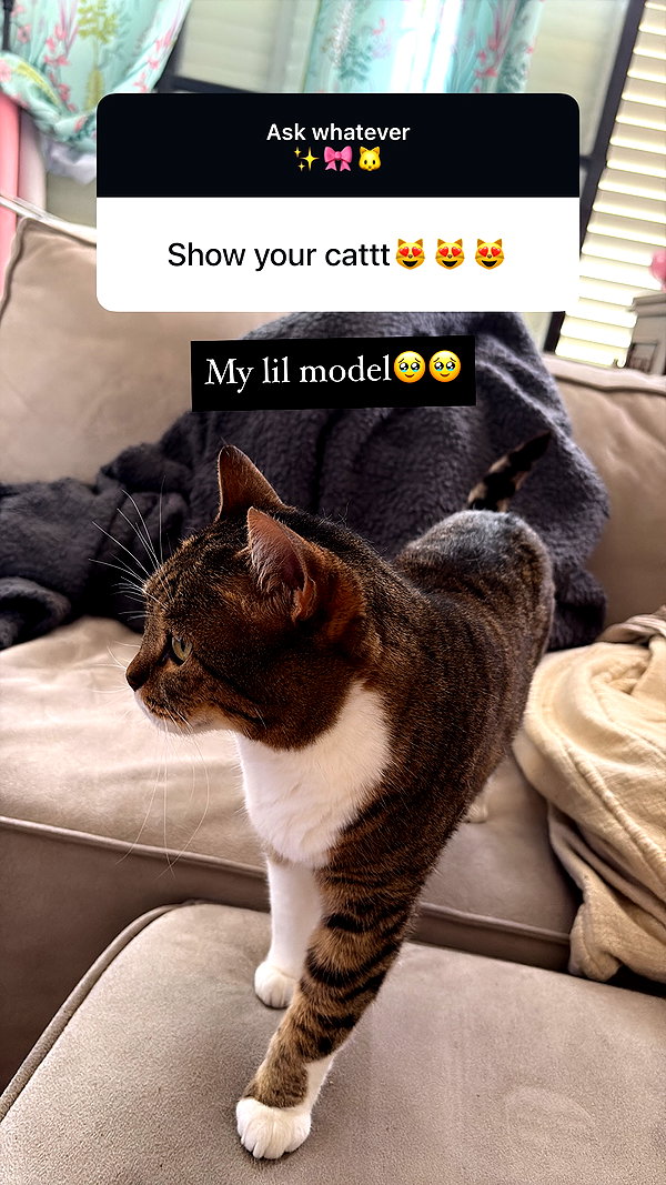 kriiizellda instagram image archive image