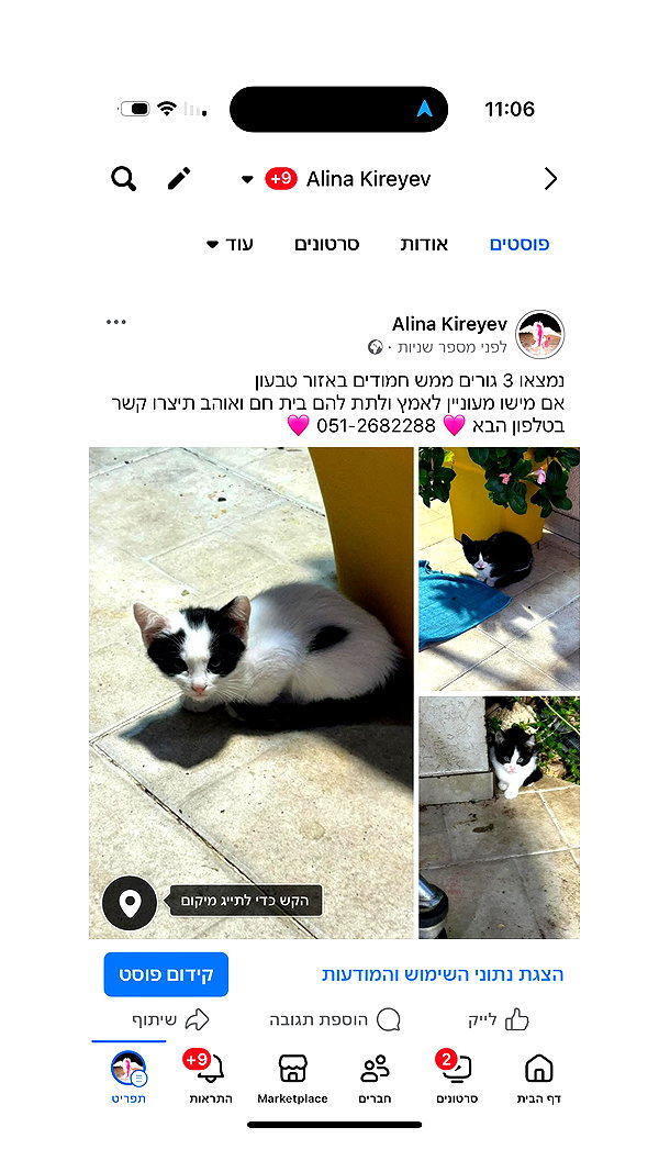 kriiizellda instagram image archive image