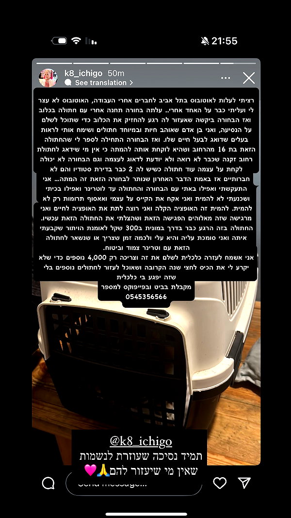 kriiizellda instagram image archive image