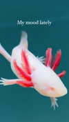 kriiizellda Altpins Profile Picture