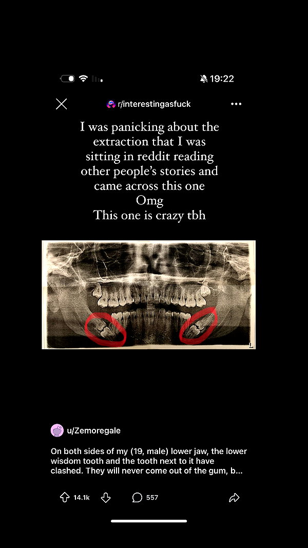 kriiizellda instagram image archive image
