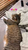 kriiizellda Altpins Profile Picture