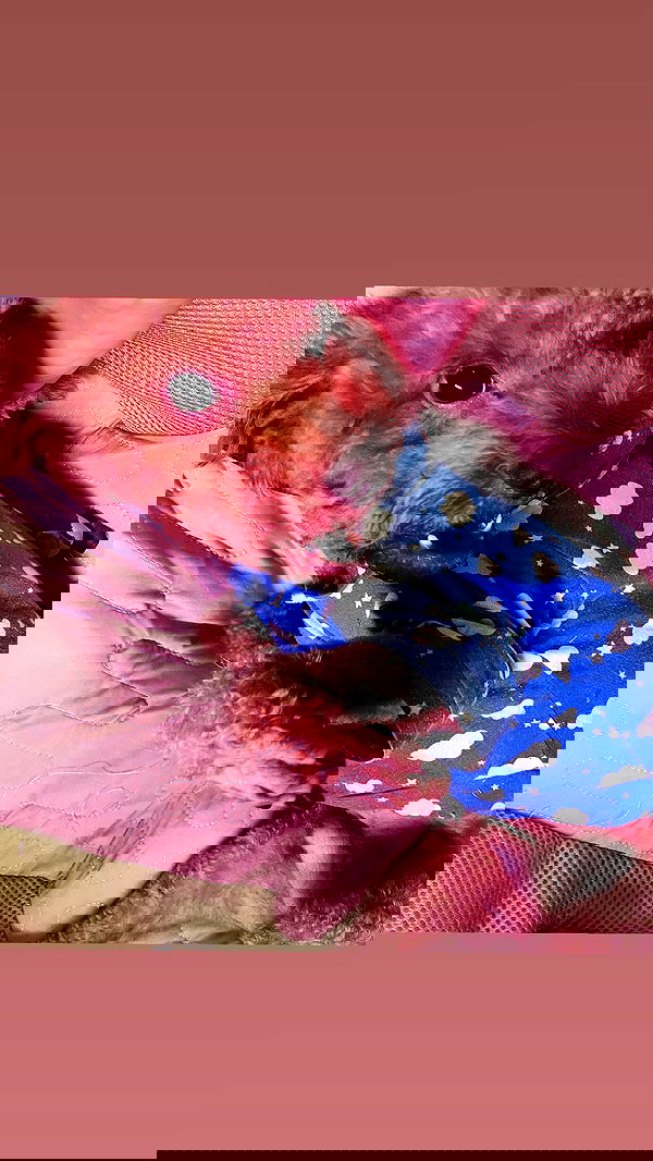 kteaworld kteaworld archive image