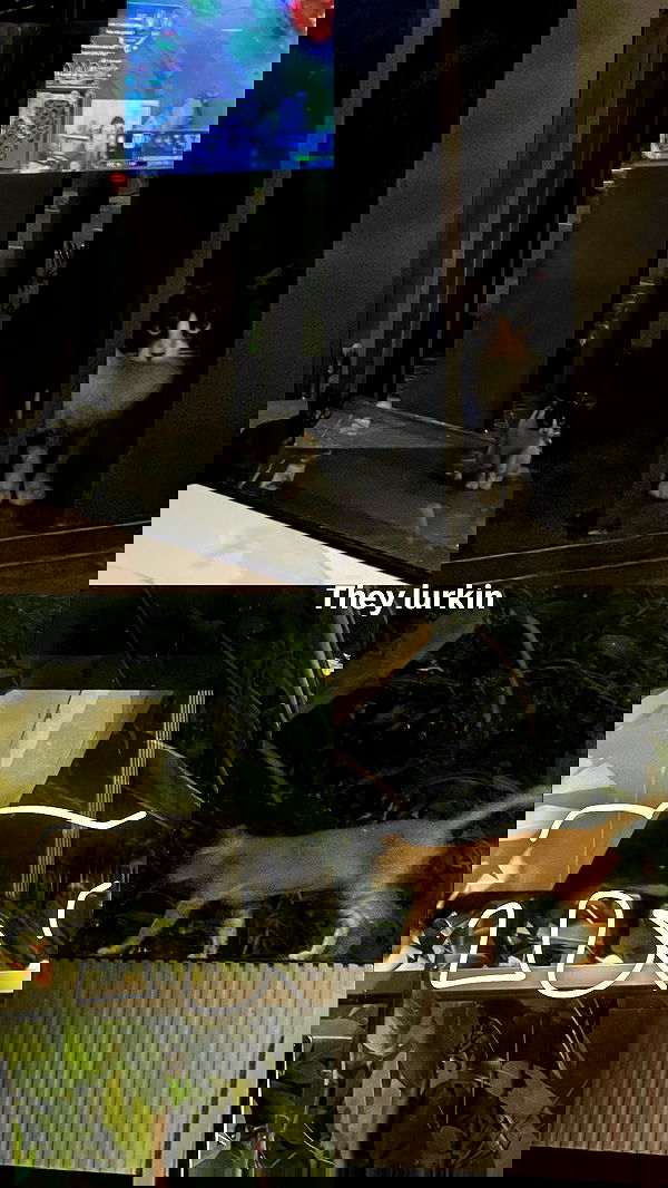 kteaworld kteaworld archive image