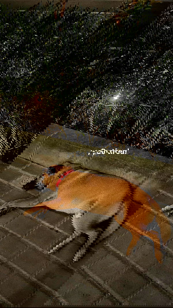 kteaworld kteaworld archive image