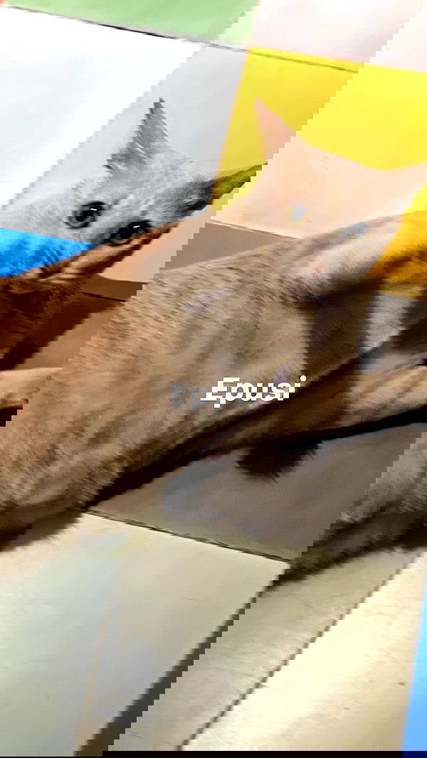 kteaworld kteaworld archive image