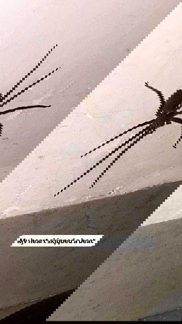 kteaworld kteaworld archive image