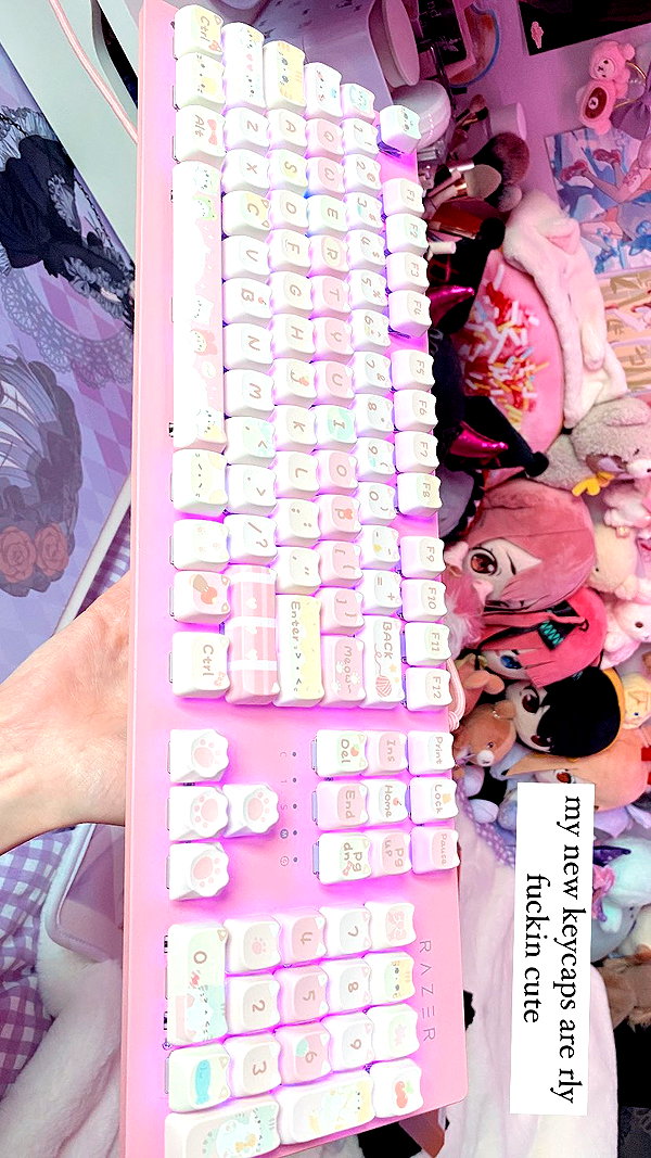 kuroecos kuroecos archive image