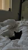 kyla.doddsss Altpins Profile Picture
