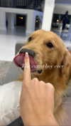 kyla.doddsss Altpins Profile Picture