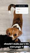 kyla.doddsss Altpins Profile Picture
