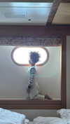 kyliejenner Altpins Profile Picture
