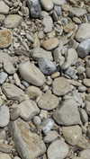kyliejenner Altpins Profile Picture