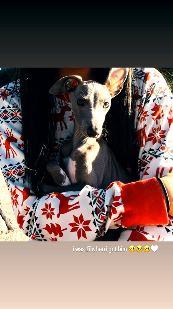 kyliejenner instagram image archive image
