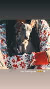 kyliejenner Altpins Profile Picture