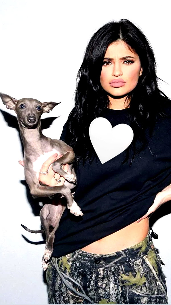 kyliejenner instagram image archive image