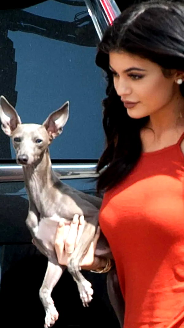 kyliejenner instagram image archive image