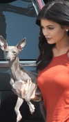 kyliejenner Altpins Profile Picture