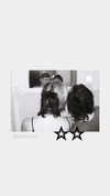 kyshenec Altpins Profile Picture