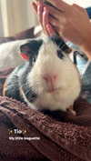 la.vica_ Altpins Profile Picture