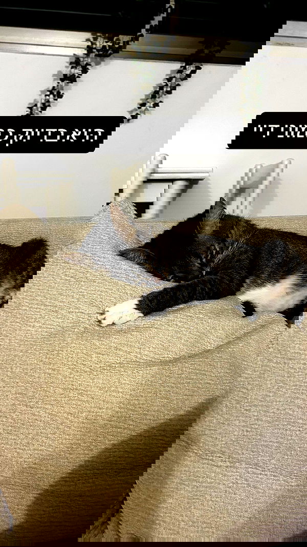 laluzone laluzone archive image