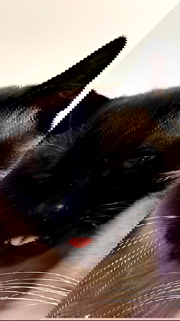 laluzone laluzone archive image