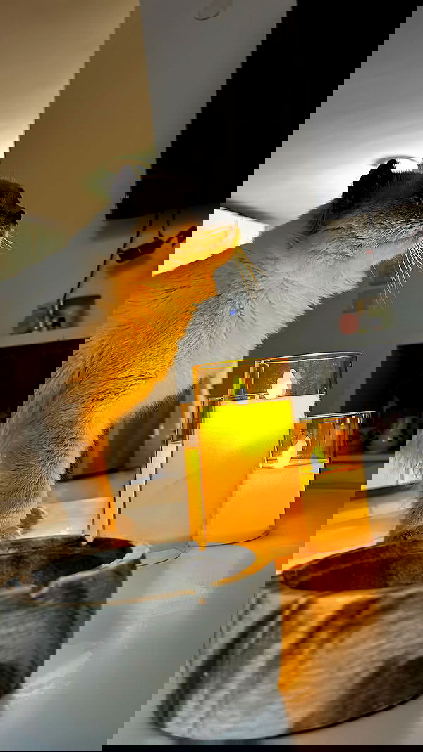 laluzone laluzone archive image