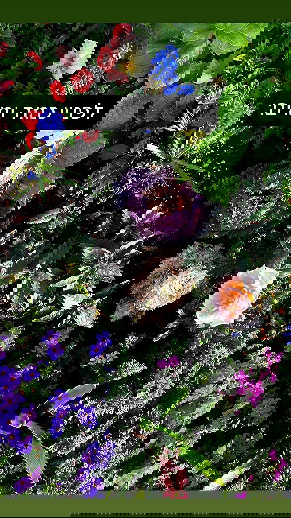 laluzone laluzone archive image