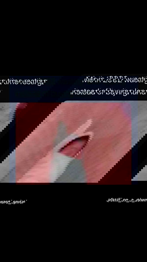 laluzone laluzone archive image