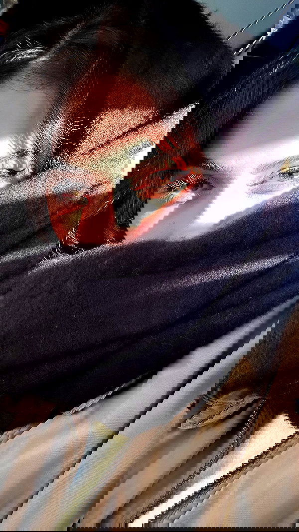 laluzone laluzone archive image