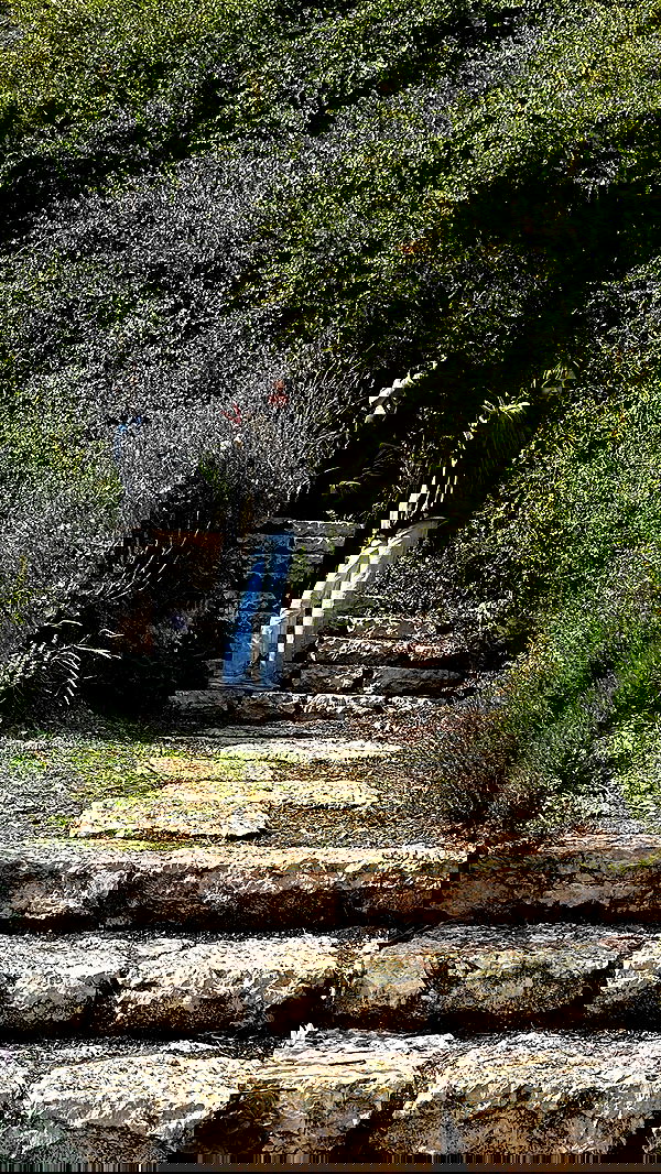 laluzone laluzone archive image