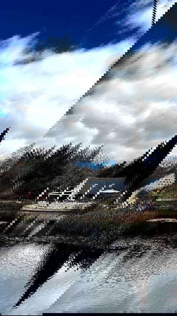 laluzone laluzone archive image