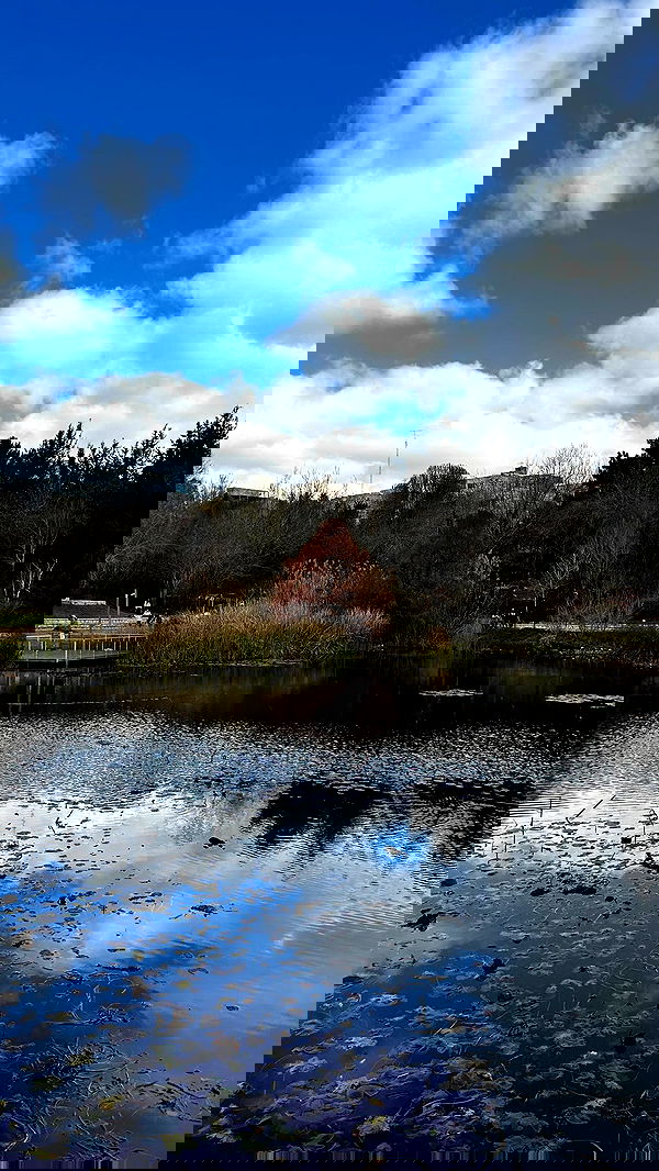 laluzone laluzone archive image