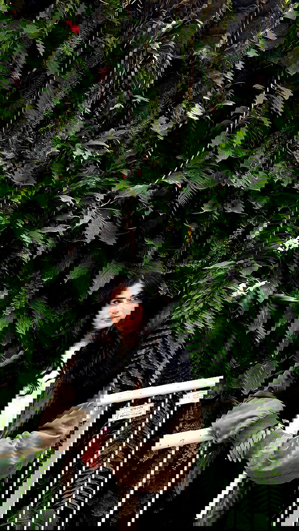 laluzone laluzone archive image