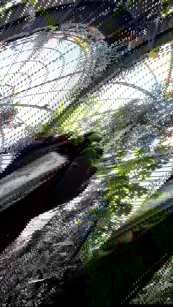 laluzone laluzone archive image