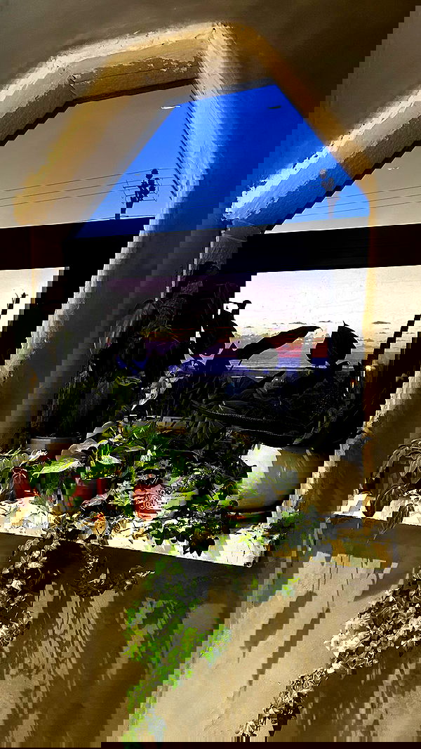 laluzone laluzone archive image