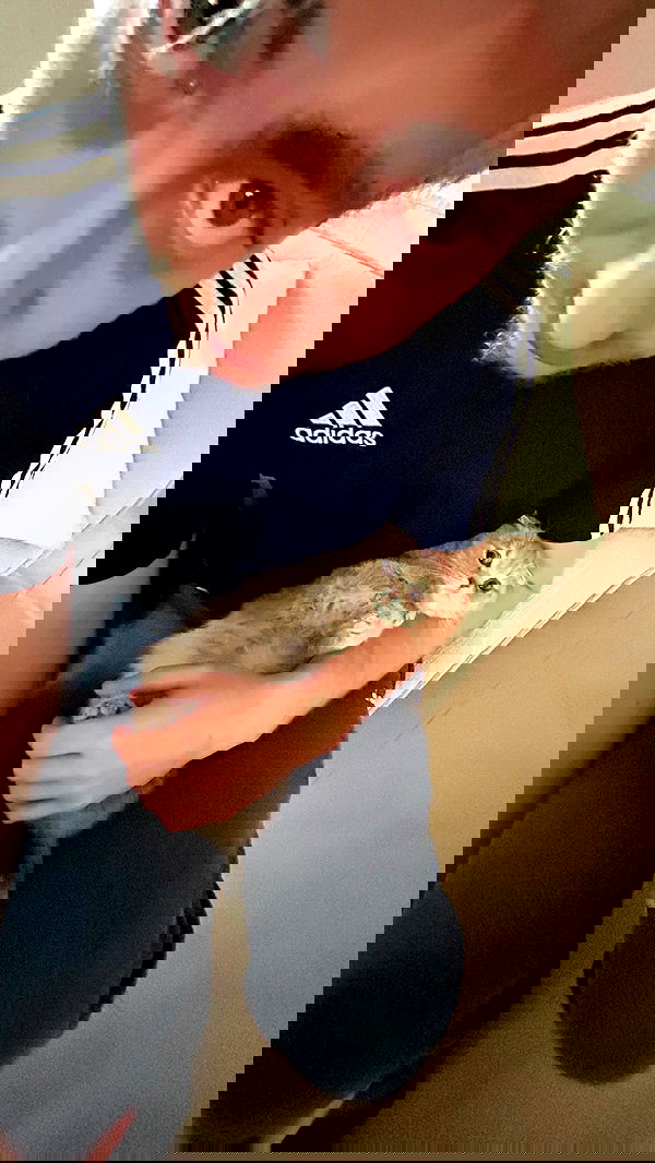 laluzone laluzone archive image