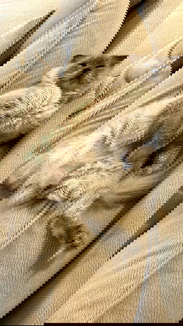 laluzone laluzone archive image