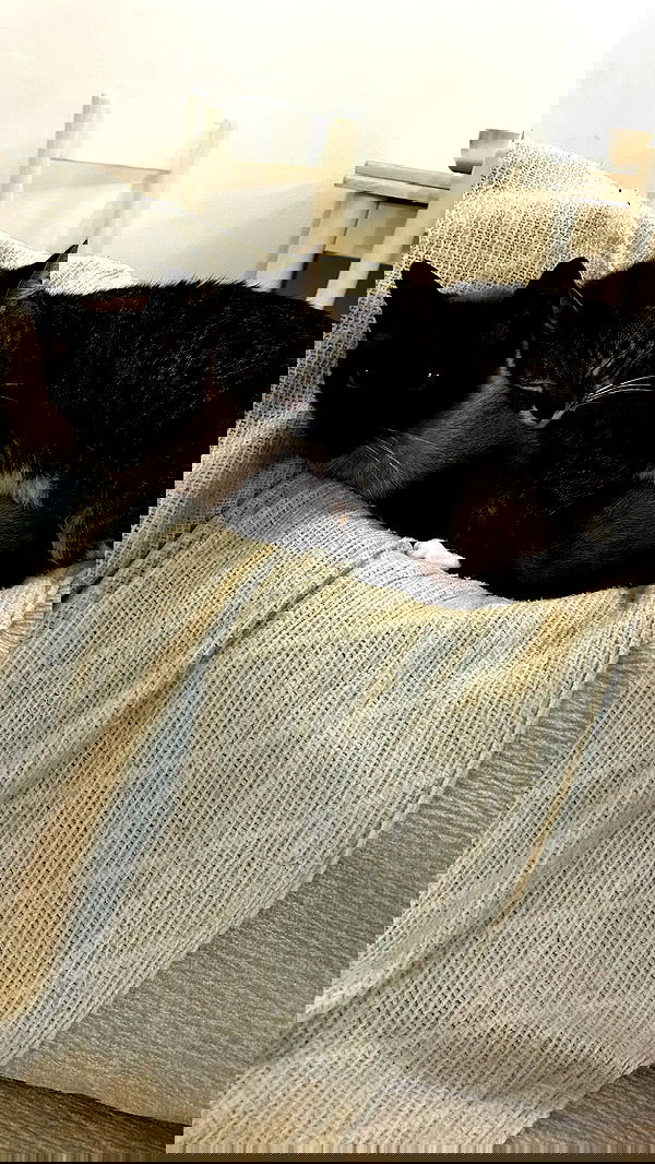 laluzone laluzone archive image