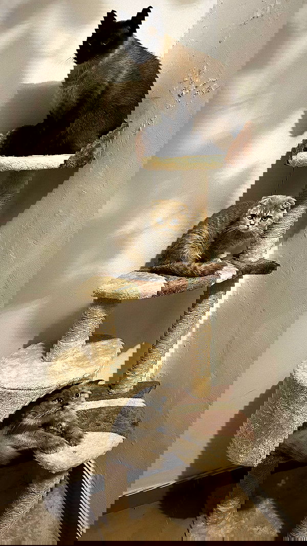 laluzone laluzone archive image