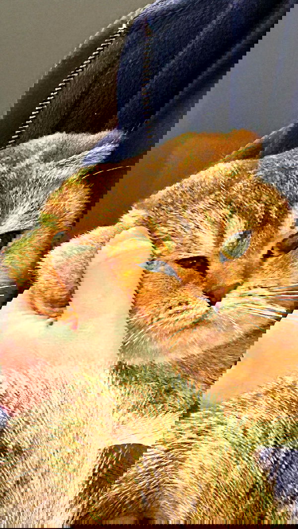 laluzone laluzone archive image