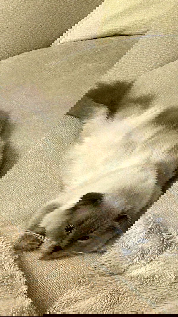 laluzone laluzone archive image