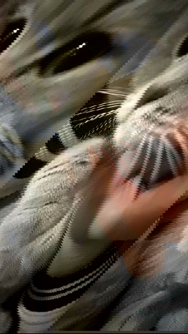 laluzone laluzone archive image