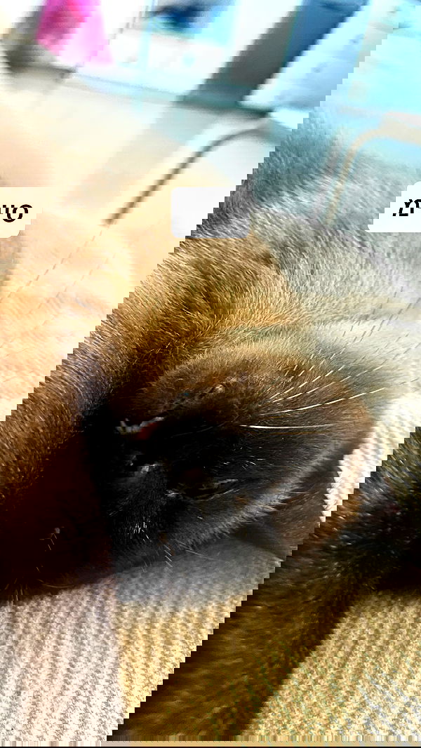 laluzone laluzone archive image