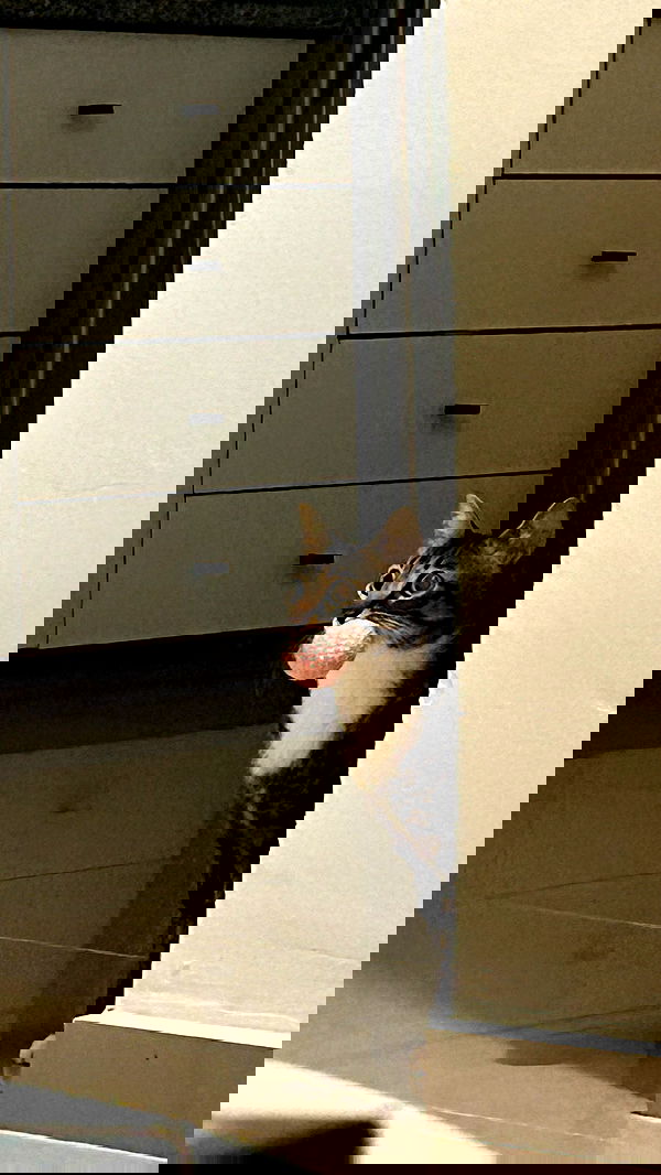 laluzone laluzone archive image