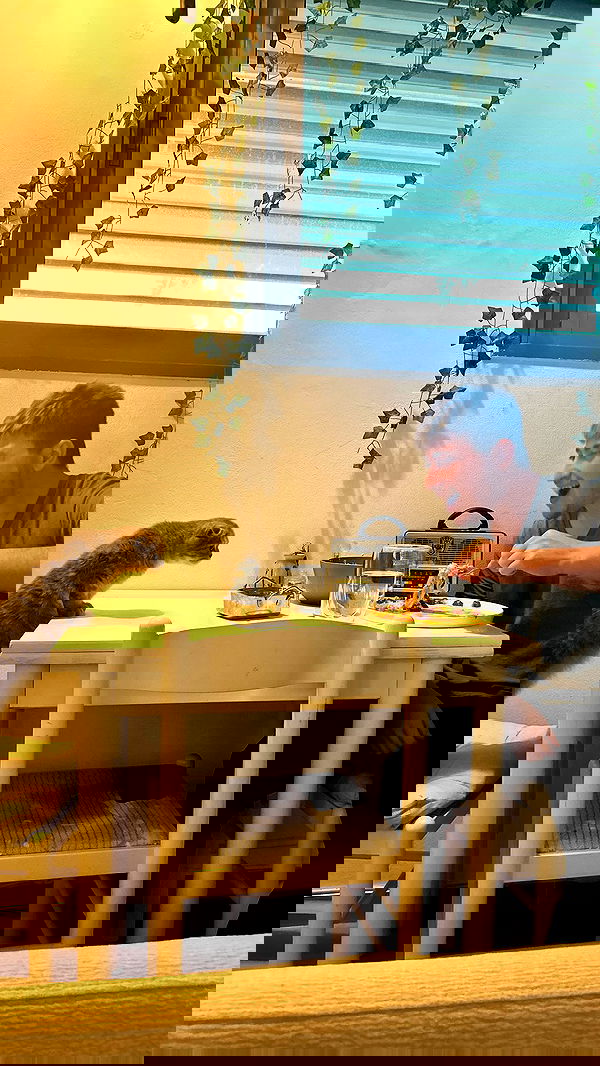 laluzone laluzone archive image