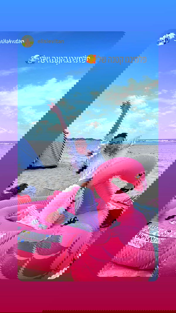 laluzone laluzone archive image