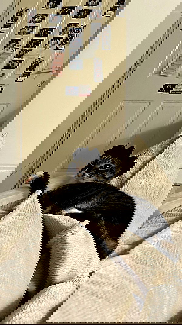 laluzone laluzone archive image