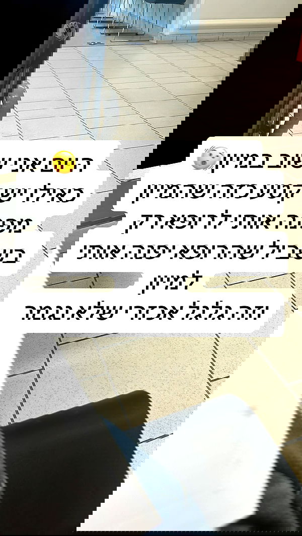 laluzone laluzone archive image