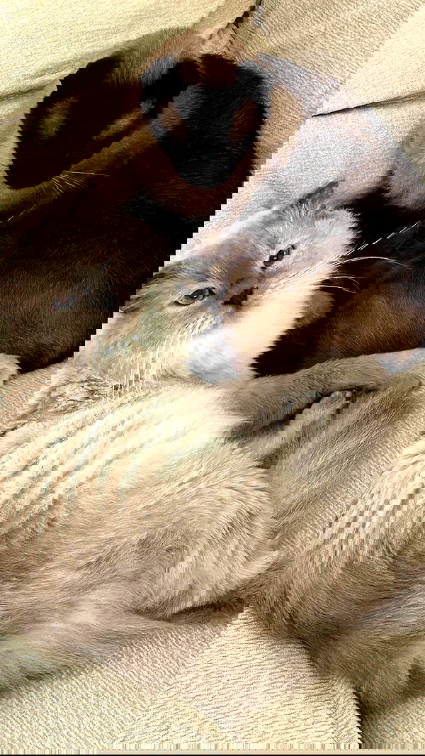 laluzone laluzone archive image